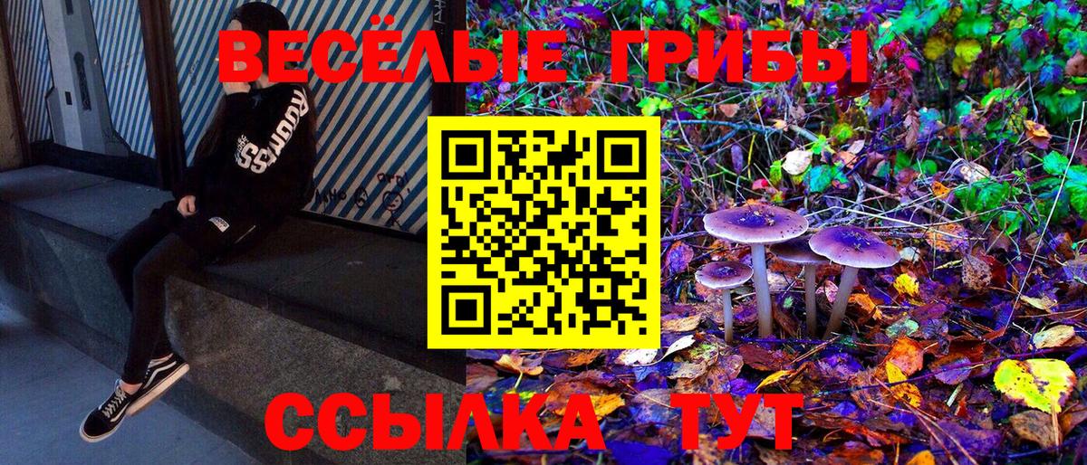 Псилоцибиновые грибы Cubensis  Вход с VPN  дарнет шоп  Тверь  Галлюциногенные грибы прущие грибы 